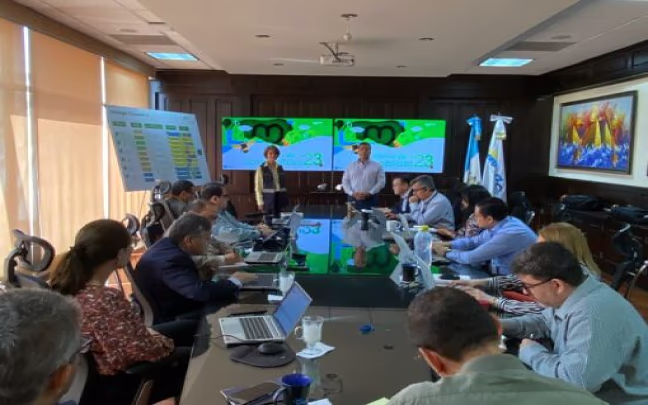 About Colibri Business Development